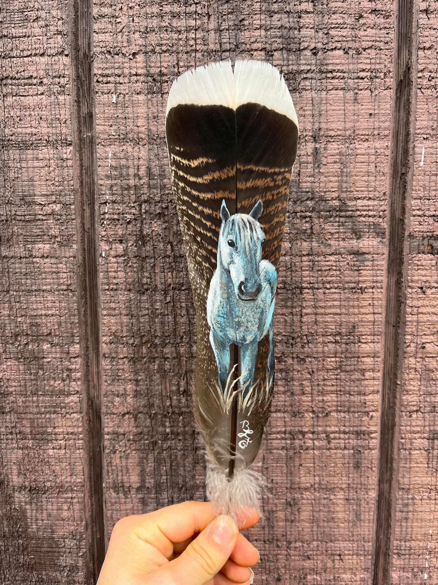 Custom Painted Turkey Feather